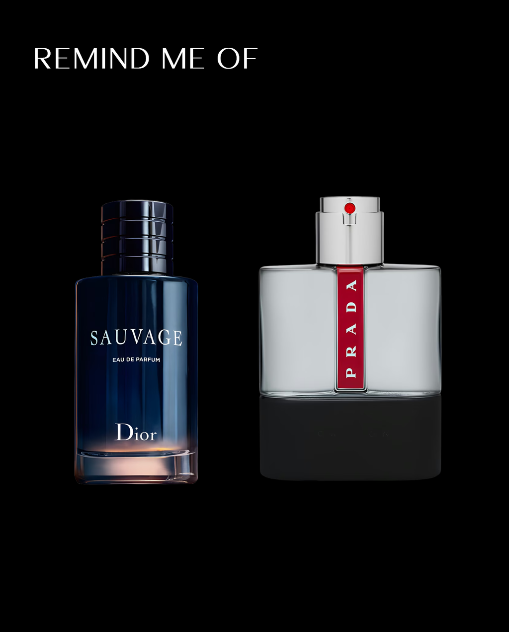GOVERNORS ISLAND EXCHANGE Eau De Parfum & Eau De Toilette